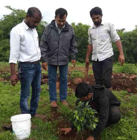 Tree Plantation Video